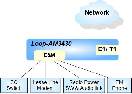E&M Voice