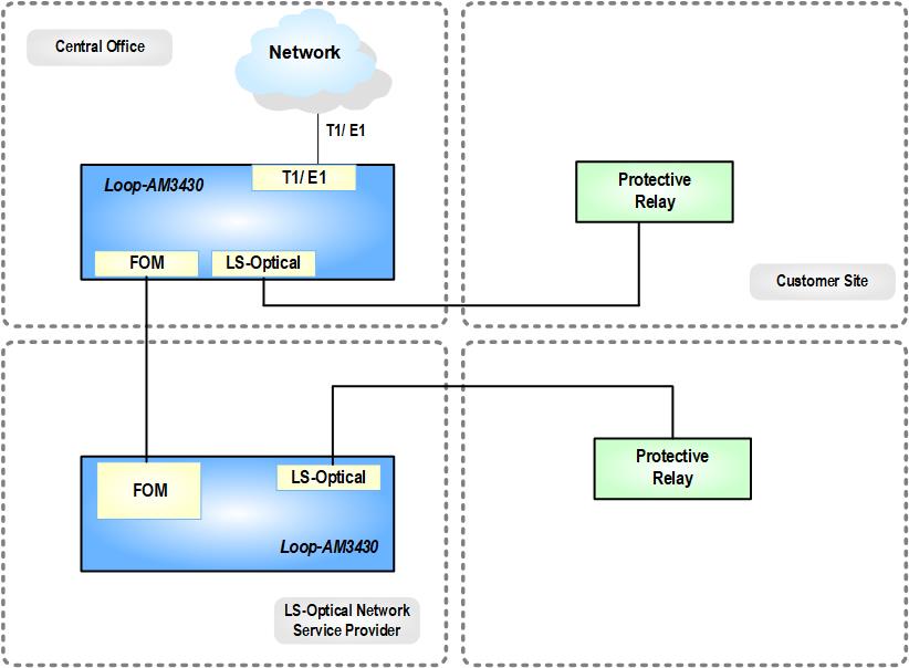 LS-Optical Network